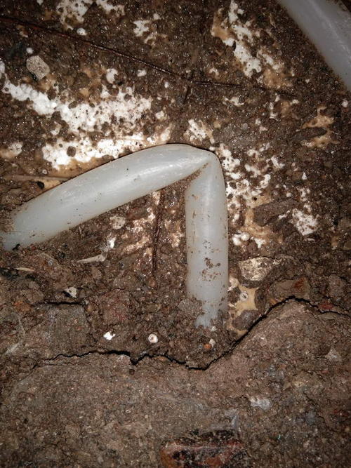 正定堵点精准查找